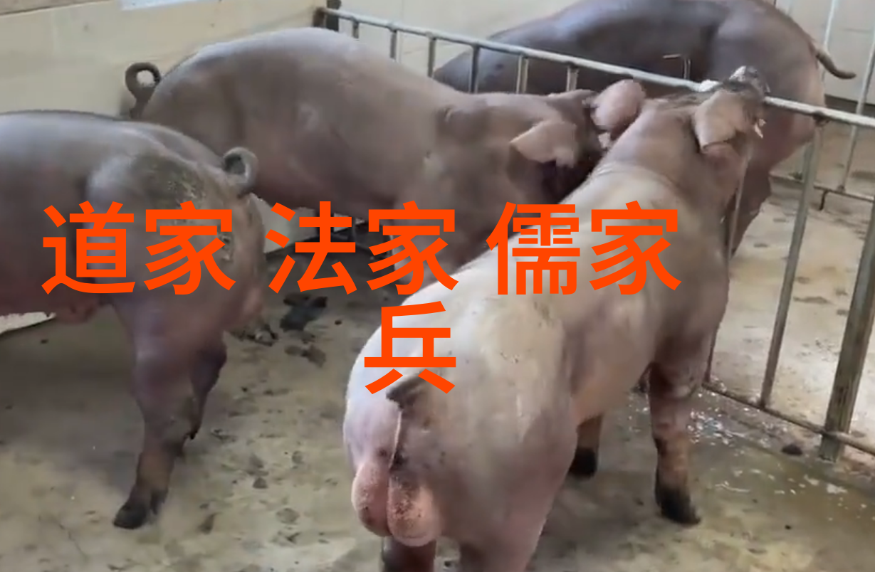 对追求天人合一的人来说时间管理又有哪些策略是必须掌握的