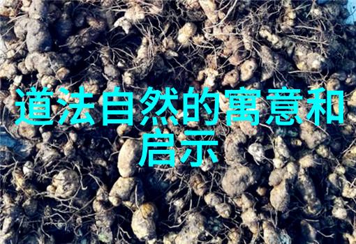 炼丹炉中传说修仙之路的秘密与挑战