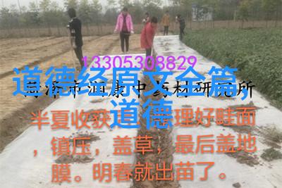 弄花香满衣下载我是如何把手机变成一束花香的
