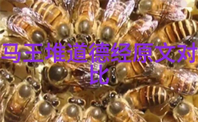 道教是谁创立的老子那位神秘的道教创始人