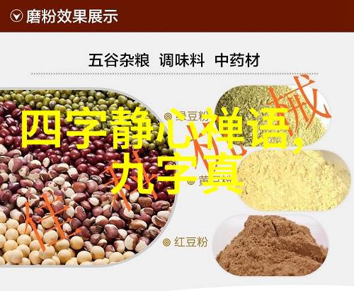 道家的代表思想天人合一的宇宙观与生活智慧