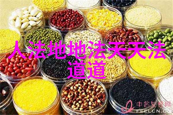 儒家伦理与天人合一如何实现社会和谐