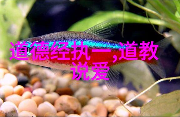情感里的无欲则刚逆袭的心灵之剑
