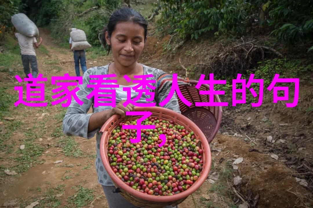 从社会学角度看宗教的发展与走向无为之治在物品场景中的体现