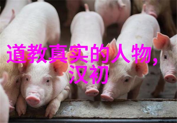 爱情是否可以通过修炼达到超脱世俗的层次
