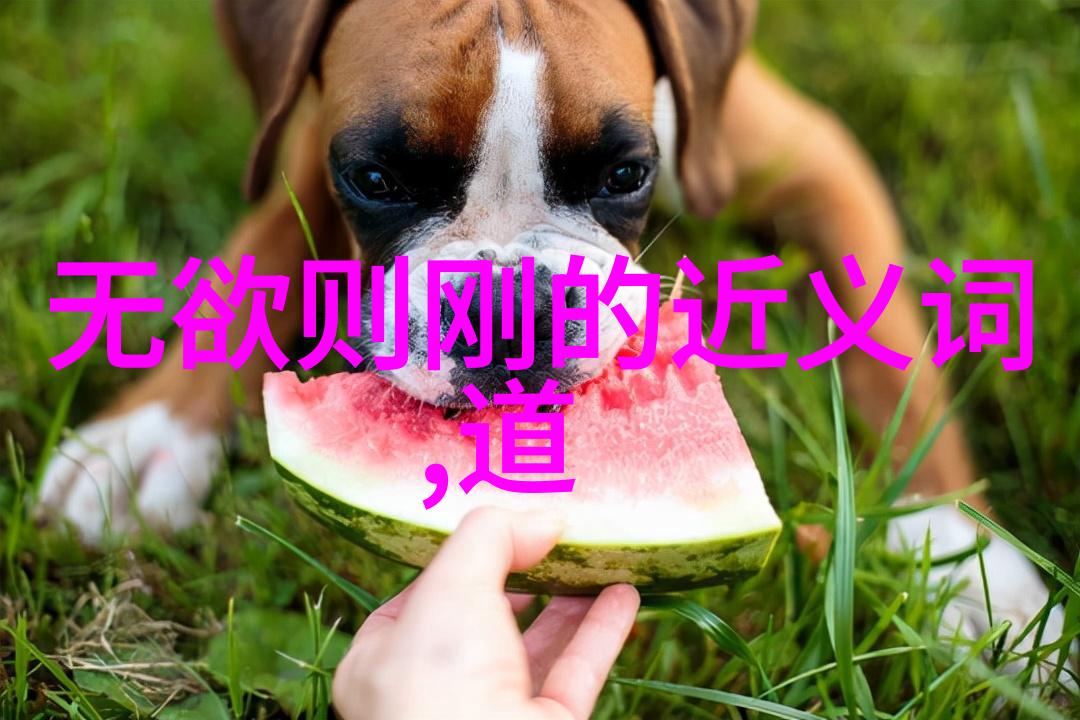 野火H1 V1激情燃烧的未来科技
