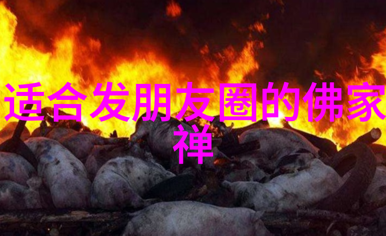 老子的道德经二年级-理解和实践将古代智慧融入现代青少年教育