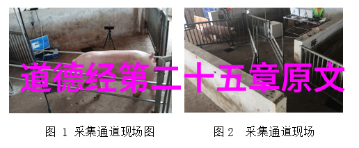 学书法的收获与感受我在墨池边缘的自我探索