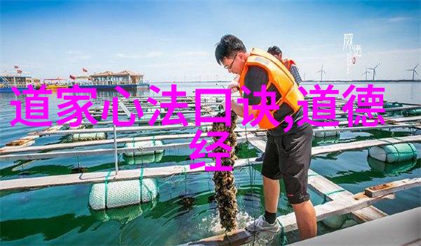 道教四大名山探秘云冈华清青城与嵩山的神秘魅力