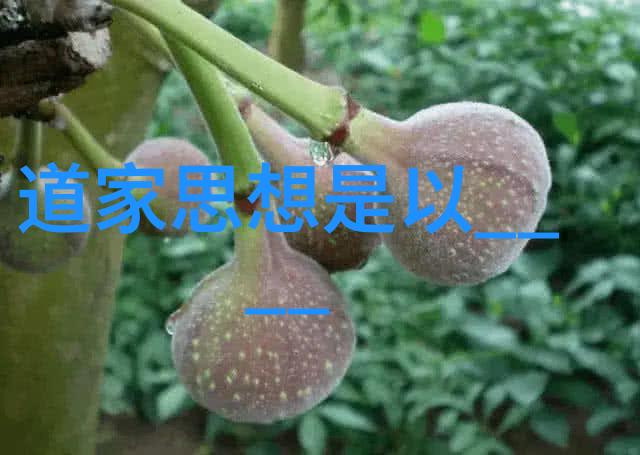 道德经全文及译文81章-解读老子的智慧道德经的深邃哲理与现代意义