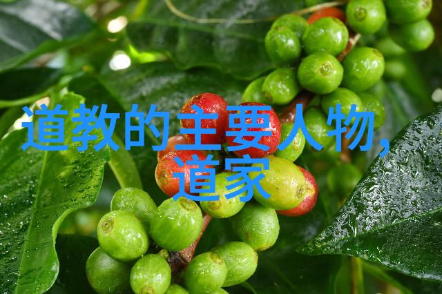 娇藏锦鲤水中奇迹的守护者