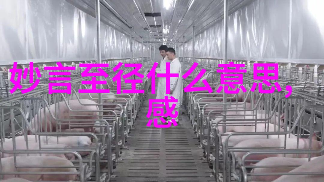 道教圣贤张道陵与黄庭坚的修炼之路