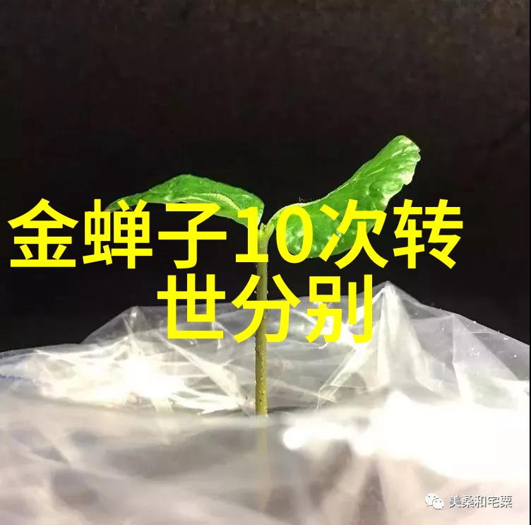 道家的经典代表人物与深远思想探究