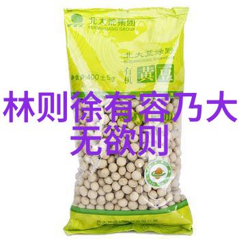 道家的无为而治思想对政治理论有何启示
