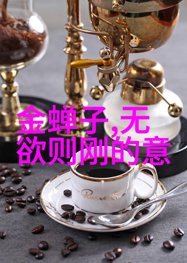 探索道德经的智慧全文免费阅读与深度理解