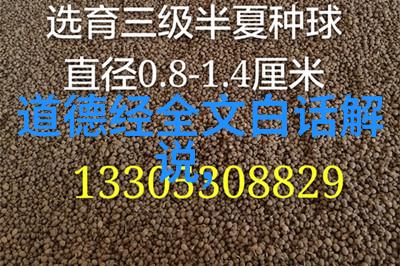 无为故无败云龙山观烟火绘云字