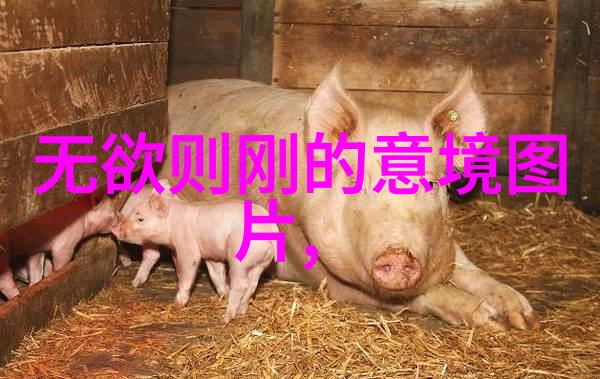 道韵悠长的行者探索道家思想的现代诠释