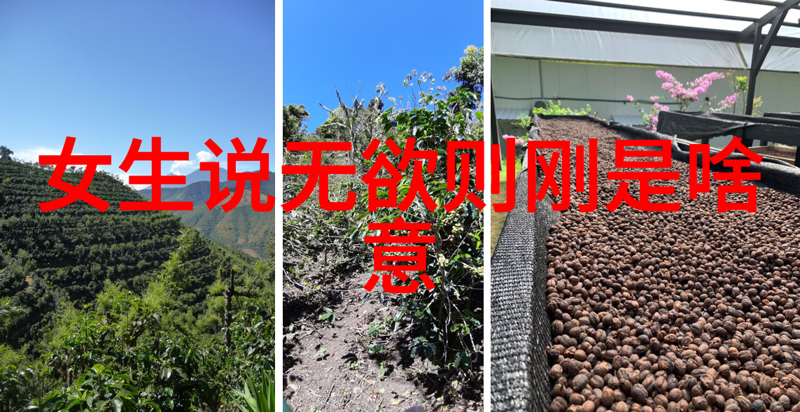 道家代表作有哪些揭秘道教经典
