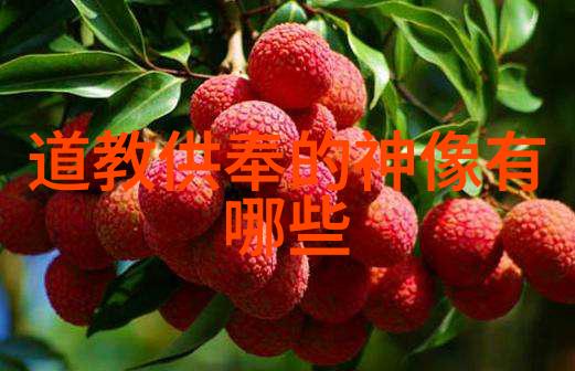 道家经典道与德探索道家文化的核心价值