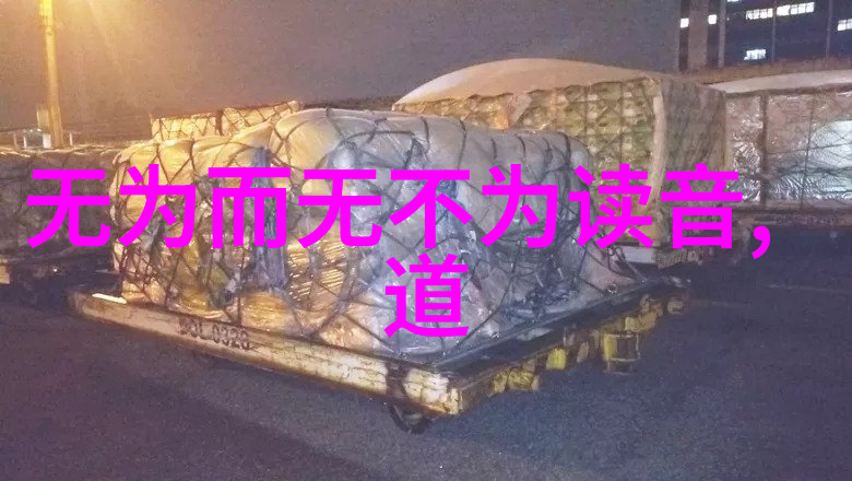 道教神秘人物探秘穿梭时空的修行者们