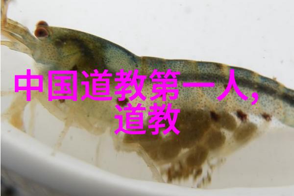 哲学探索-物是人非以万物为刍狗的存在主义