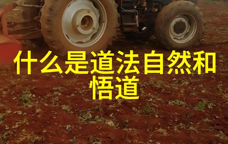 道家以什么和什么为经典老子走过的山路道家的智慧与自然之谜