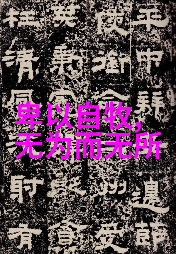 老子哲学中的无为之道理解与实践的辩证