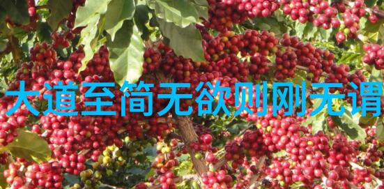 古韵绕梁高中优美古诗词鉴赏精选20首