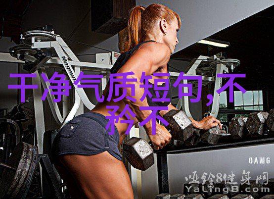 道家大师从庄子到王阳明的智慧之旅