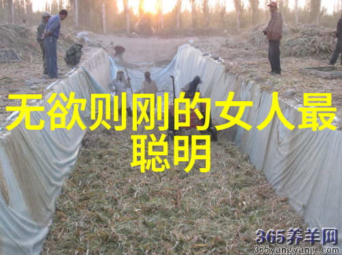 恐怖的修仙之路成仙秘籍中的惊悚真相