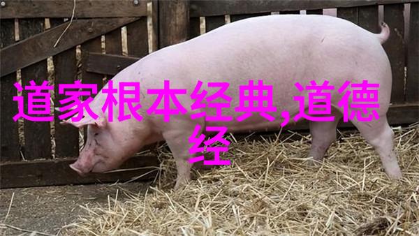道家智慧的探索者黄帝与老子的足迹