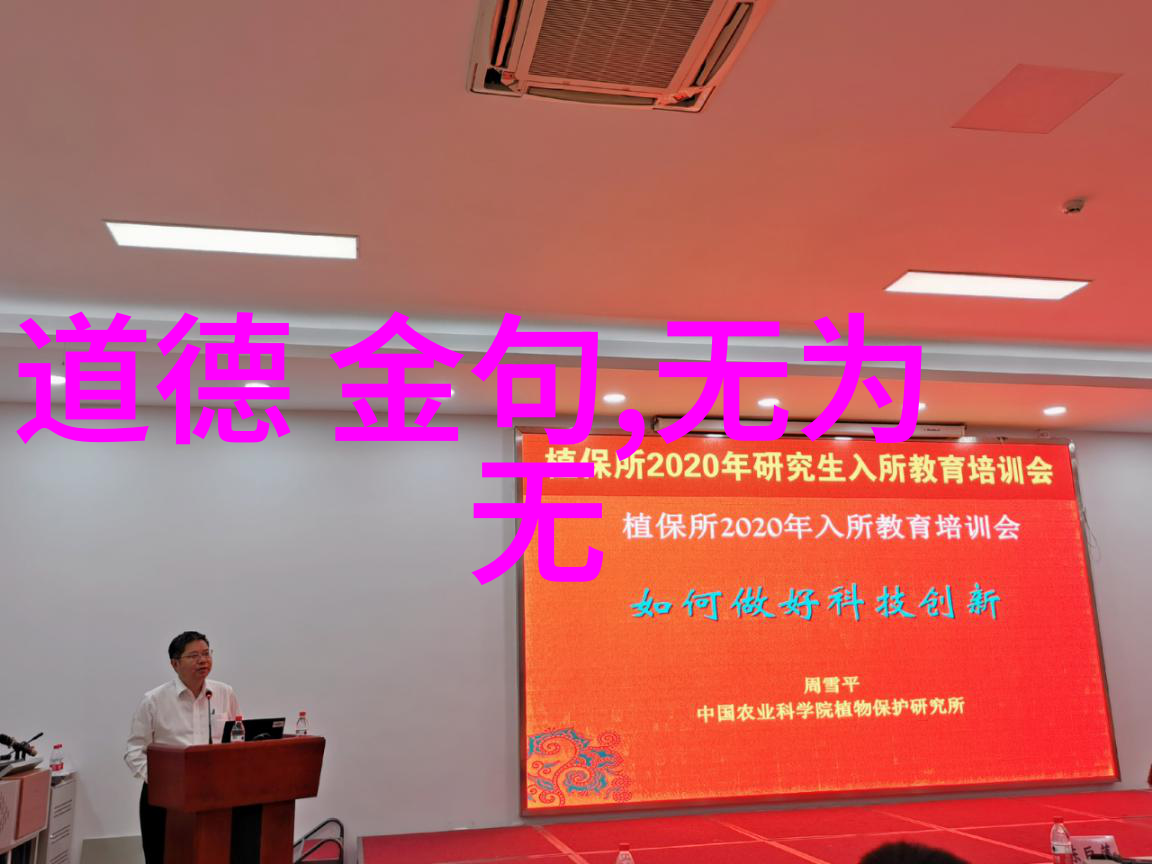 道德经中的不为与为之哲学探究