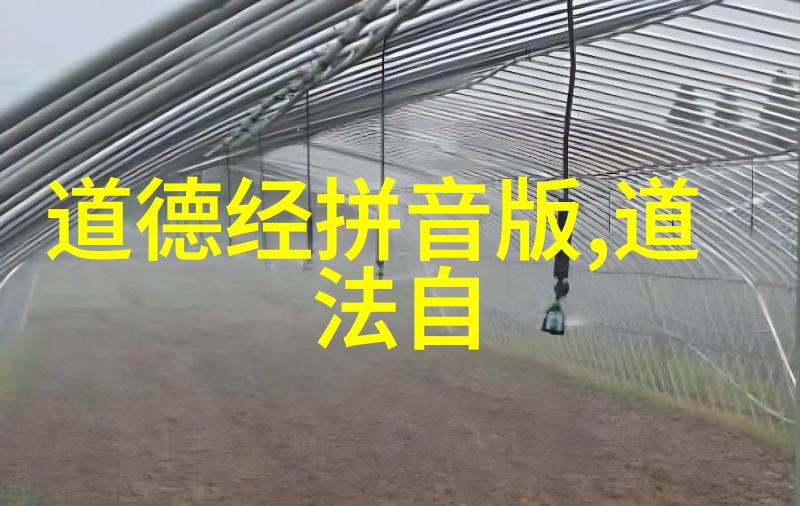 大道之行碧波荡漾的岁月长廊