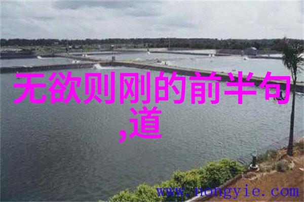 古诗文赏析大全我来帮你解开这些字里行间的秘密