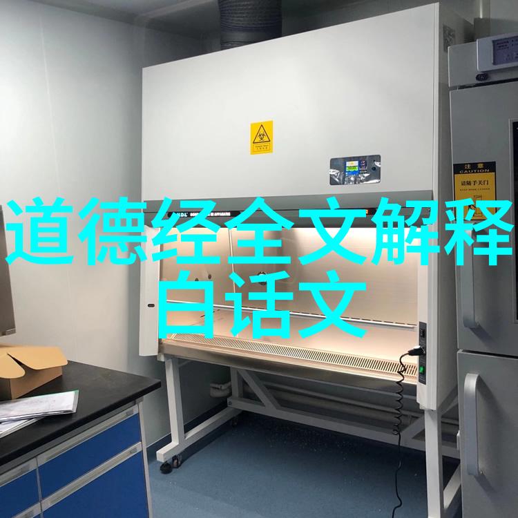 天人合一的智慧探索易经之谜
