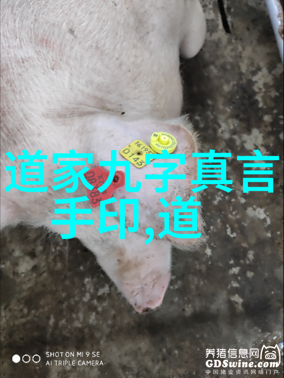 壁仞千尺 无欲则刚我心之坚韧如磐石岁月不侵
