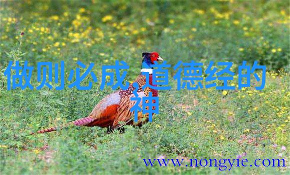 从墨水到灵魂在何种环境中最佳地欣赏和理解最漂亮的楷书作品呢