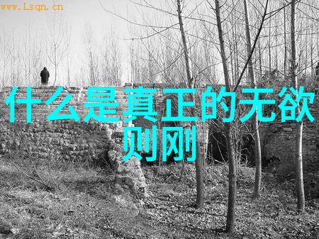 纯洁与欲望之间的抉择修道人能否拥抱爱情