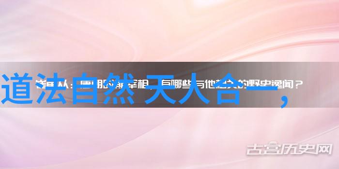 淡泊明志探索提倡无为而无不为精神的哲学内涵与现代生活实践