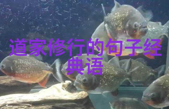 林徽因在创作过程中是否受到过其他文学作品或者外界环境的启发以及这些来源具体是怎样的