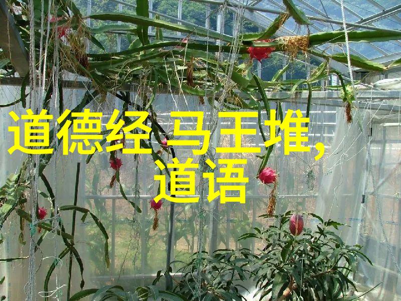 绝对掌控1v5骨科我是怎么在这场生死对决中统治全场的