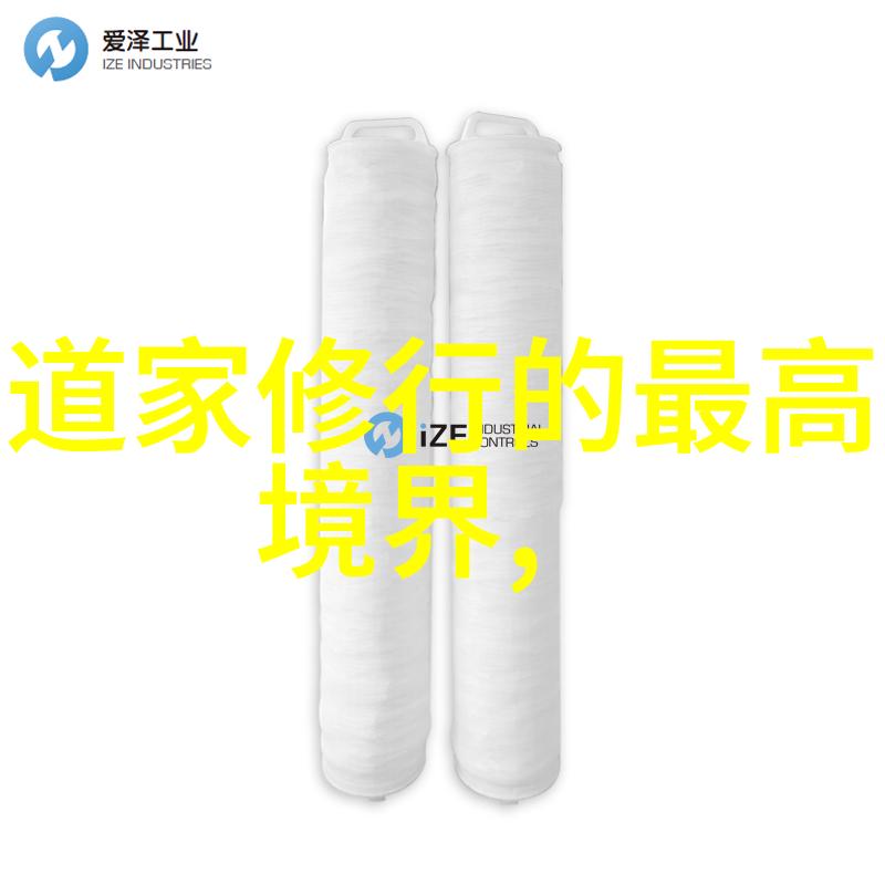 从古代儒家与道家的辩论中吸取什么教训以便更好地理解不同思想体系之间的相互作用