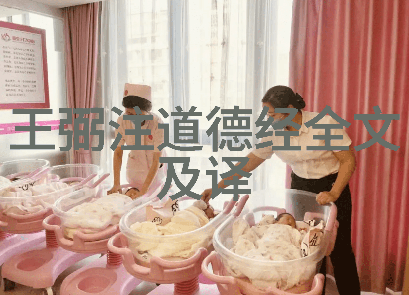 宋词美学探究解读最美的100首
