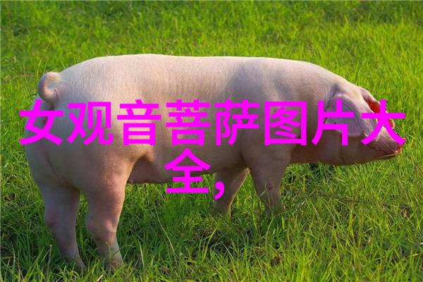 男人对女人说无欲则刚揭秘一种隐藏的爱情哲学