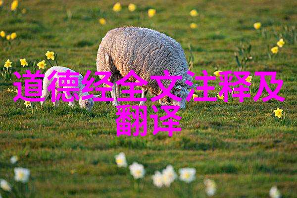 老子与道德经道家学派的源头之作