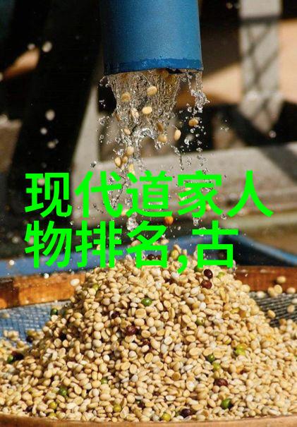 道光帝及其对道教的支持与保护政策分析