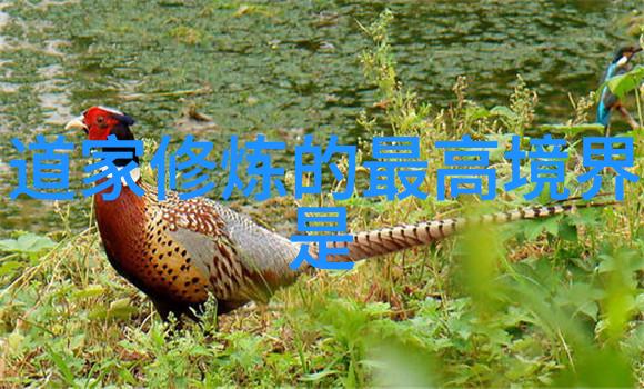 道家名言名句精华道家哲学的深邃智慧