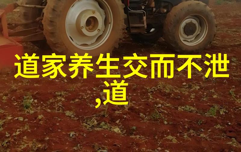 易经之谜命运的重铸与学问的力量