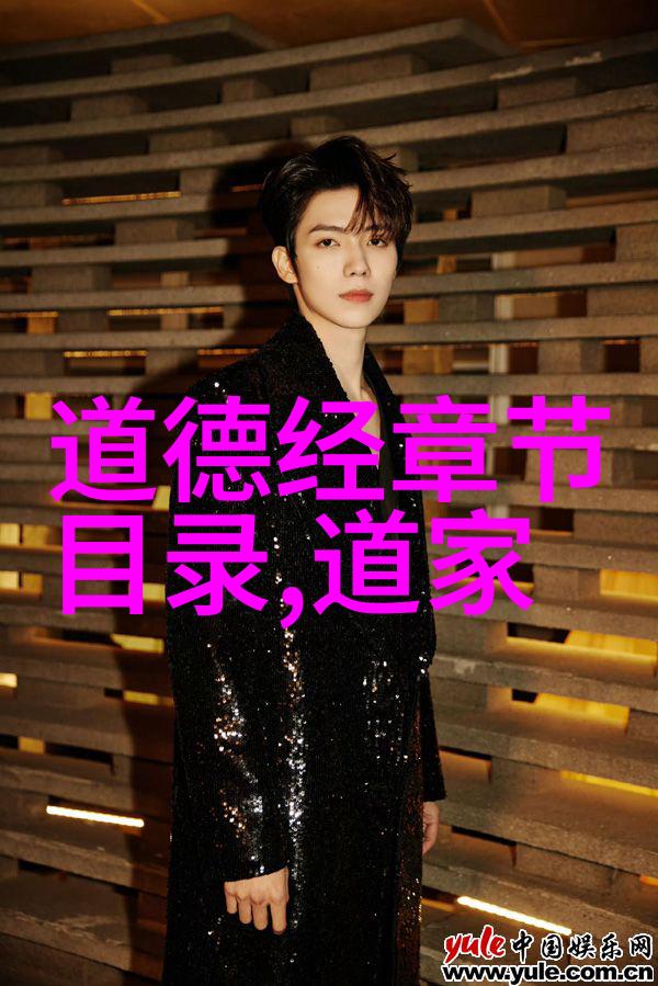 道语经典语录600句我这辈子最爱的六百句智慧走进生活的殿堂