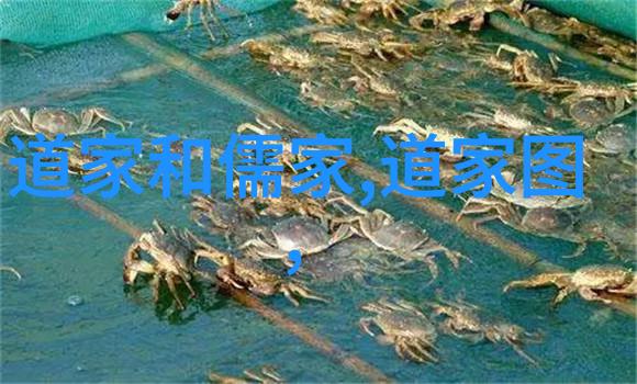 道家文化的精髓探索天人合一的智慧路径